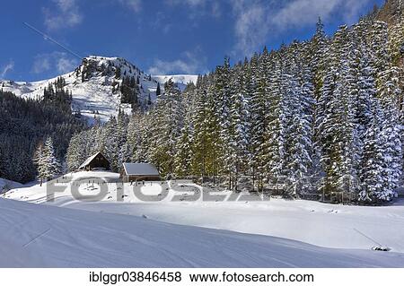 Stock Photo - "Breitenberger Alm alp near the Blaseneck peak, Johnsbach, Eisenerzer Alpen mountains, Styria, Austria, Europe". Fotosearch