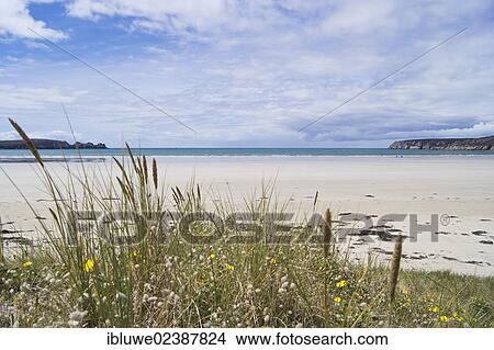 "Breton coastal landscape, Camaret-sur-Mer, Brittany, France, Europe" View Large Photo Image Picture - "Breton coastal landscape, Camaret-sur-Mer, Brittany, France, Europe". Fotosearch