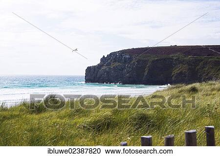 "Breton coastal landscape, Camaret-sur-Mer, Brittany, France, Europe" View Large Photo Image Stock Image - "Breton coastal landscape, Camaret-sur-Mer, Brittany, France, Europe". Fotosearch