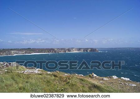 "Breton coastal landscape, Camaret-sur-Mer, Brittany, France, Europe" View Large Photo Image Stock Photo - "Breton coastal landscape, Camaret-sur-Mer, Brittany, France, Europe". Fotosearch
