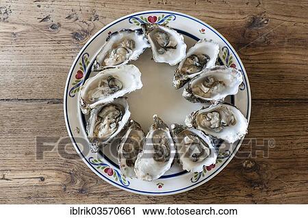 Stock Image - "Breton oysters opened on a plate, Brittany, France, Europe". Fotosearch