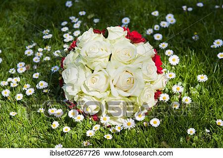Bridal bouquet lying on a flowering meadow View Large Photo Image Stock Photograph - Bridal bouquet lying on a flowering meadow. Fotosearch