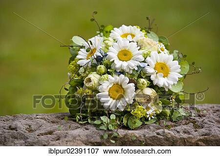 Bridal bouquet with daisies View Large Photo Image Stock Photo - Bridal bouquet with daisies. Fotosearch