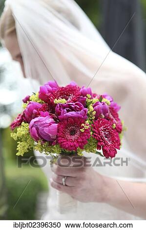 Bride holding a bridal bouquet View Large Photo Image Stock Image - Bride holding a bridal bouquet. Fotosearch