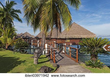 "Bridge to overwater bungalows, Moorea, French Polynesia, Oceania" View Large Photo Image Stock Image - "Bridge to overwater bungalows, Moorea, French Polynesia, Oceania". Fotosearch