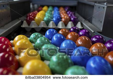 "Brightly coloured Easter eggs on a conveyor belt, Beham egg dyeing company, Thannhausen, Bayern, Germany, Europe" View Large Photo Image Picture - "Brightly coloured Easter eggs on a conveyor belt, Beham egg dyeing company, Thannhausen, Bayern, Germany, Europe". Fotosearch