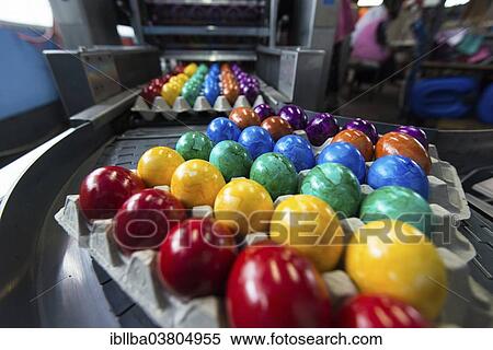 "Brightly coloured Easter eggs on a conveyor belt, Beham egg dyeing company, Thannhausen, Bayern, Germany, Europe" View Large Photo Image Stock Photography - "Brightly coloured Easter eggs on a conveyor belt, Beham egg dyeing company, Thannhausen, Bayern, Germany, Europe". Fotosearch