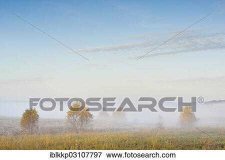 "Brightly coloured trees in a meadow in the morning fog, Stiege, Oberharz am Brocken, Saxony-Anhalt, Germany, Europe" View Large Photo Image Stock Photo - "Brightly coloured trees in a meadow in the morning fog, Stiege, Oberharz am Brocken, Saxony-Anhalt, Germany, Europe". Fotosearch