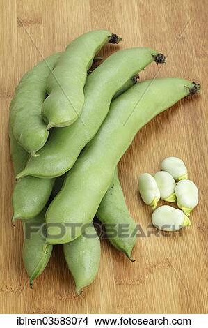Broad beans (Vicia faba) View Large Photo Image Picture - Broad beans (Vicia faba). Fotosearch