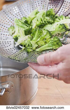 Broccoli in a steamer utensil View Large Photo Image Stock Image - Broccoli in a steamer utensil. Fotosearch