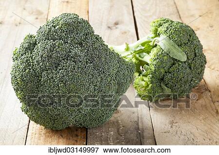 Broccoli View Large Photo Image Stock Photo - Broccoli. Fotosearch