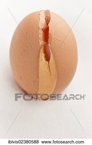 Stock Photo - Broken brown egg. Fotosearch