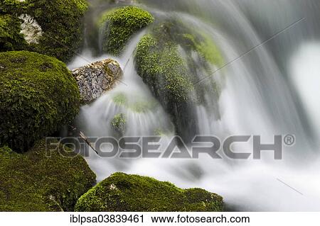 "Brook with moss-covered stones, Golling Waterfall, Salzburg, AustriaSteinen" View Large Photo Image Stock Image - "Brook with moss-covered stones, Golling Waterfall, Salzburg, AustriaSteinen". Fotosearch