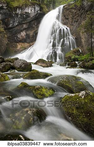 "Brook with moss-covered stones, Golling Waterfall, Salzburg, AustriaSteinen" View Large Photo Image Stock Photo - "Brook with moss-covered stones, Golling Waterfall, Salzburg, AustriaSteinen". Fotosearch