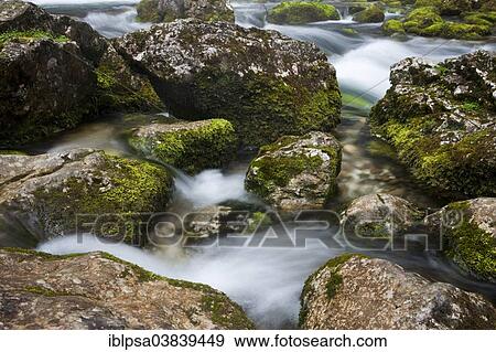 "Brook with moss-covered stones, Golling Waterfall, Salzburg, AustriaSteinen" View Large Photo Image Stock Photo - "Brook with moss-covered stones, Golling Waterfall, Salzburg, AustriaSteinen". Fotosearch