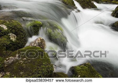 "Brook with moss-covered stones, Golling Waterfall, Salzburg, AustriaSteinen" View Large Photo Image Stock Photo - "Brook with moss-covered stones, Golling Waterfall, Salzburg, AustriaSteinen". Fotosearch