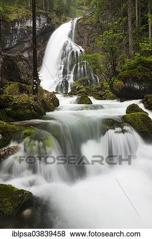 Stock Photo - "Brook with moss-covered stones, Golling Waterfall, Salzburg, AustriaSteinen". Fotosearch