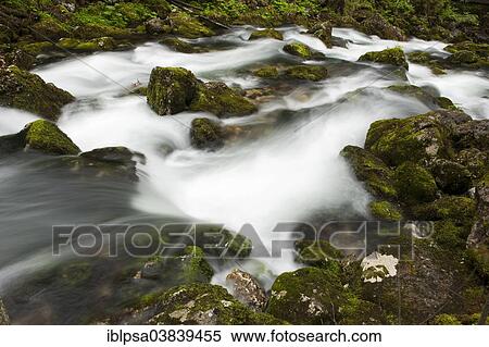 Stock Photography - "Brook with moss-covered stones, Golling Waterfall, Salzburg, AustriaSteinen". Fotosearch