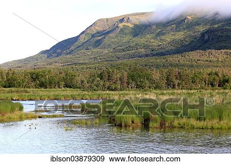 "Brooks River, Alaska, USA" View Large Photo Image Stock Photo - "Brooks River, Alaska, USA". Fotosearch