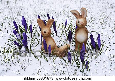 "Brown ceramic Easter Bunnies, blue crocuses, snow" View Large Photo Image Stock Image - "Brown ceramic Easter Bunnies, blue crocuses, snow". Fotosearch