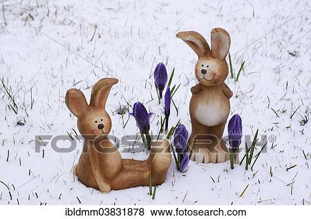 "Brown ceramic Easter Bunnies, blue crocuses, snow" View Large Photo Image Stock Photo - "Brown ceramic Easter Bunnies, blue crocuses, snow". Fotosearch