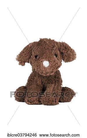 "Brown dog, plush toy" View Large Photo Image Stock Photograph - "Brown dog, plush toy". Fotosearch
