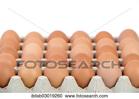 "Brown eggs on an egg tray, Germany, Europe" View Large Photo Image Stock Image - "Brown eggs on an egg tray, Germany, Europe". Fotosearch