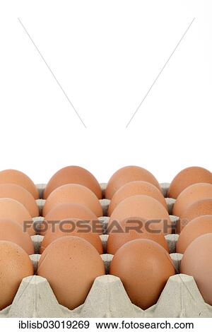 "Brown eggs on an egg tray, Germany, Europe" View Large Photo Image Stock Photo - "Brown eggs on an egg tray, Germany, Europe". Fotosearch
