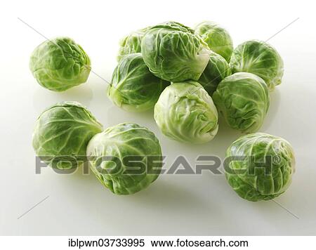Stock Photography - Brussels sprouts. Fotosearch