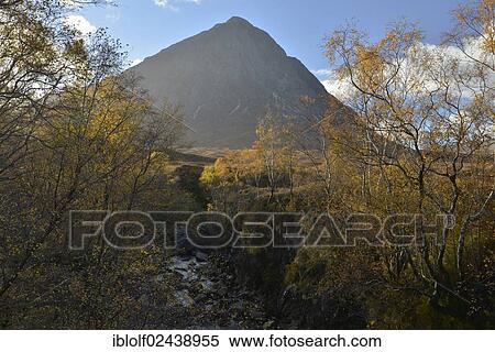 "Buachaille Etive Mor, autumn in the Valley of Glen Etive, Scottish Highlands, Scotland, United Kingdom, Europe" View Large Photo Image Stock Photography - "Buachaille Etive Mor, autumn in the Valley of Glen Etive, Scottish Highlands, Scotland, United Kingdom, Europe". Fotosearch