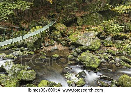 "Buchberger Leite, a section of the Wolfsteiner Ohe River, Bavarian Forest National Park, Ringelai, Bavaria, Germany, Europe" View Large Photo Image Picture - "Buchberger Leite, a section of the Wolfsteiner Ohe River, Bavarian Forest National Park, Ringelai, Bavaria, Germany, Europe". Fotosearch