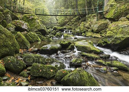 "Buchberger Leite, a section of the Wolfsteiner Ohe River, Bavarian Forest National Park, Ringelai, Bavaria, Germany, Europe" View Large Photo Image Stock Image - "Buchberger Leite, a section of the Wolfsteiner Ohe River, Bavarian Forest National Park, Ringelai, Bavaria, Germany, Europe". Fotosearch