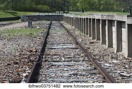 "Buchenwald Concentration Camp, former railway station, track and end ramp, Ettersberg, Weimar, Thuringia, Germany, Europe" View Large Photo Image Stock Image - "Buchenwald Concentration Camp, former railway station, track and end ramp, Ettersberg, Weimar, Thuringia, Germany, Europe". Fotosearch