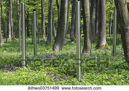 "Buchenwald Memorial, numbered stainless steel stelae in the woods, symbolic grave stones for the dead of the Soviet Special Camp, 1945-50, Ettersberg, Weimar, Thuringia, Germany, Europe" View Large Photo Image Stock Photo - "Buchenwald Memorial, numbered stainless steel stelae in the woods, symbolic grave stones for the dead of the Soviet Special Camp, 1945-50, Ettersberg, Weimar, Thuringia, Germany, Europe". Fotosearch