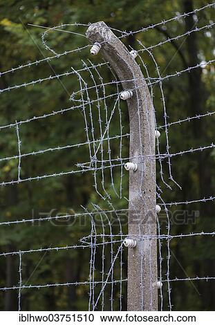 "Buchenwald Memorial, reconstructed camp fence with barbed wire and electrical insulators, Ettersberg, Weimar, Thuringia, Germany, Europe" View Large Photo Image Stock Image - "Buchenwald Memorial, reconstructed camp fence with barbed wire and electrical insulators, Ettersberg, Weimar, Thuringia, Germany, Europe". Fotosearch