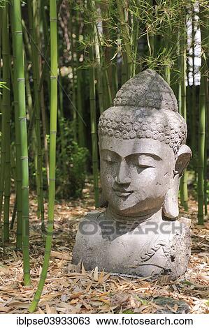 "Buddha head, Les Bambous du Mandarin bamboo forest, Departement Var, Provence-Alpes-Cote d’Azur, France, Europe" View Large Photo Image Stock Image - "Buddha head, Les Bambous du Mandarin bamboo forest, Departement Var, Provence-Alpes-Cote d’Azur, France, Europe". Fotosearch