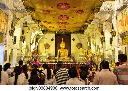 "Buddha statue at the Buddhist shrine of Sri Dalada Maligawa, Temple of the Tooth, repository of the tooth relic of Buddha, Kandy, Central Province, Sri Lanka, Asia" View Large Photo Image Stock Photograph - "Buddha statue at the Buddhist shrine of Sri Dalada Maligawa, Temple of the Tooth, repository of the tooth relic of Buddha, Kandy, Central Province, Sri Lanka, Asia". Fotosearch