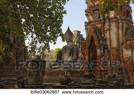 "Buddha statue at Wat Mahathat in Ayutthaya, UNESCO World Heritage Site, Ayutthaya, Ayutthaya province, Central Thailand, Thailand, Asia" View Large Photo Image Stock Photo - "Buddha statue at Wat Mahathat in Ayutthaya, UNESCO World Heritage Site, Ayutthaya, Ayutthaya province, Central Thailand, Thailand, Asia". Fotosearch