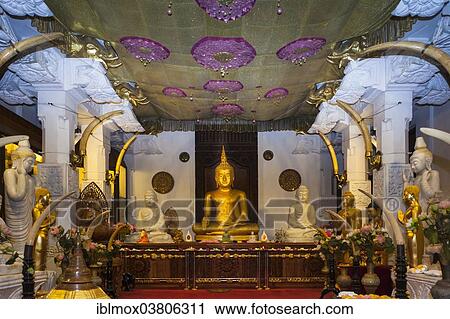"Buddha statue in the Temple of the Sacred Tooth Relic, Sri Dalada Maligawa, Buddhist temple, Kandy, Central Province, Sri Lanka, Asia" View Large Photo Image Stock Image - "Buddha statue in the Temple of the Sacred Tooth Relic, Sri Dalada Maligawa, Buddhist temple, Kandy, Central Province, Sri Lanka, Asia". Fotosearch