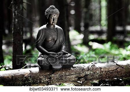 "Buddha statue sitting on a tree trunk in the forest, Germany, Europe" View Large Photo Image Stock Image - "Buddha statue sitting on a tree trunk in the forest, Germany, Europe". Fotosearch