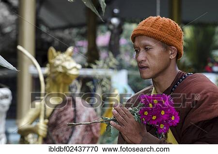 "Buddhist monk holding flowers during a morning alms collection, temple and monastery of Wat Phra Archa Thong or Golden Horse Temple, Mae Chan, Chiang Rai Province, Northern Thailand, Thailand, Asia" View Large Photo Image Stock Image - "Buddhist monk holding flowers during a morning alms collection, temple and monastery of Wat Phra Archa Thong or Golden Horse Temple, Mae Chan, Chiang Rai Province, Northern Thailand, Thailand, Asia". Fotosearch