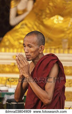 "Buddhist monk in morning prayer at the Shwedagon Pagoda, Yangon, Myanmar, Asia" View Large Photo Image Stock Photo - "Buddhist monk in morning prayer at the Shwedagon Pagoda, Yangon, Myanmar, Asia". Fotosearch