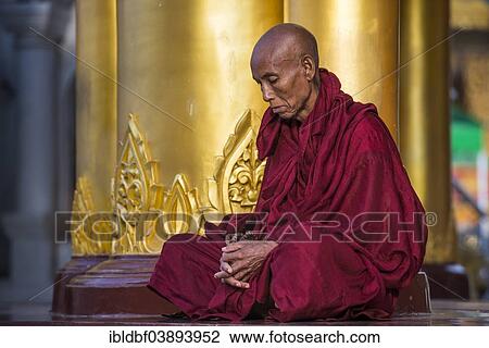"Buddhist monk in prayer, Shwedagon Pagoda, Singuttara Hill, Yangon or Rangoon, Yangon Region, Myanmar, Asia" View Large Photo Image Stock Image - "Buddhist monk in prayer, Shwedagon Pagoda, Singuttara Hill, Yangon or Rangoon, Yangon Region, Myanmar, Asia". Fotosearch