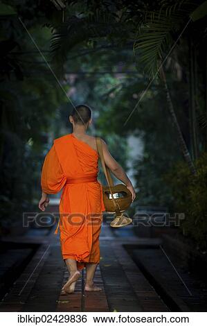 Stock Photograph - "Buddhist monk in the early morning heading home after having gathered alms, in Chiang Mai, Thailand, Asia". Fotosearch