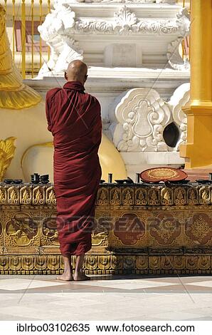 "Buddhist monk, Shwedagon Pagoda, Yangon, Yangon Region, Myanmar, Burma, Asia" View Large Photo Image Stock Photography - "Buddhist monk, Shwedagon Pagoda, Yangon, Yangon Region, Myanmar, Burma, Asia". Fotosearch