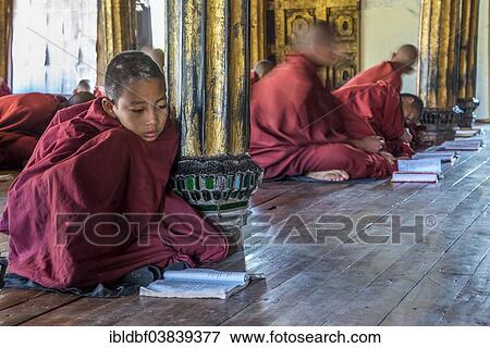 "Buddhist monks, novice learning and praying, Shwe Yaunghwe Kyaung Monastery, Nyaung Shwe, Inle Lake, Shan State, Myanmar, Asia" View Large Photo Image Stock Photo - "Buddhist monks, novice learning and praying, Shwe Yaunghwe Kyaung Monastery, Nyaung Shwe, Inle Lake, Shan State, Myanmar, Asia". Fotosearch