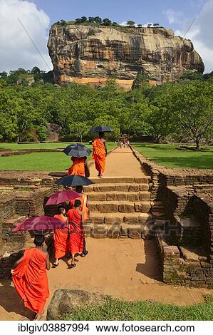 "Buddhist monks on their way to the Lion Rock, Sigiriya, UNESCO World Heritage Site, Sigiriya, Central Province, Sri Lanka, Asia" View Large Photo Image Picture - "Buddhist monks on their way to the Lion Rock, Sigiriya, UNESCO World Heritage Site, Sigiriya, Central Province, Sri Lanka, Asia". Fotosearch