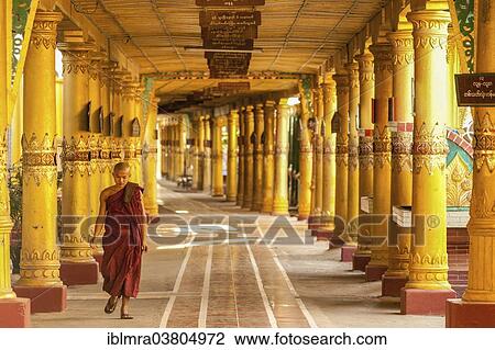 "Buddhist student monk walking through portico, Bago, Myanmar, Asia" View Large Photo Image Stock Image - "Buddhist student monk walking through portico, Bago, Myanmar, Asia". Fotosearch