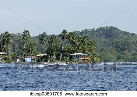 Stock Photography - "Buildings on the Palm Coast, Bastimentos, Isla Bastimentos, Bocas del Toro, Panama, North America". Fotosearch