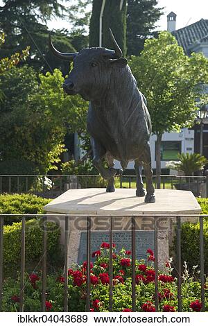 "Bull statue in front of the bullring, Plaza de Toros, Ronda, Costa del Sol, Andalucia, Spain, Europe" View Large Photo Image Stock Photo - "Bull statue in front of the bullring, Plaza de Toros, Ronda, Costa del Sol, Andalucia, Spain, Europe". Fotosearch